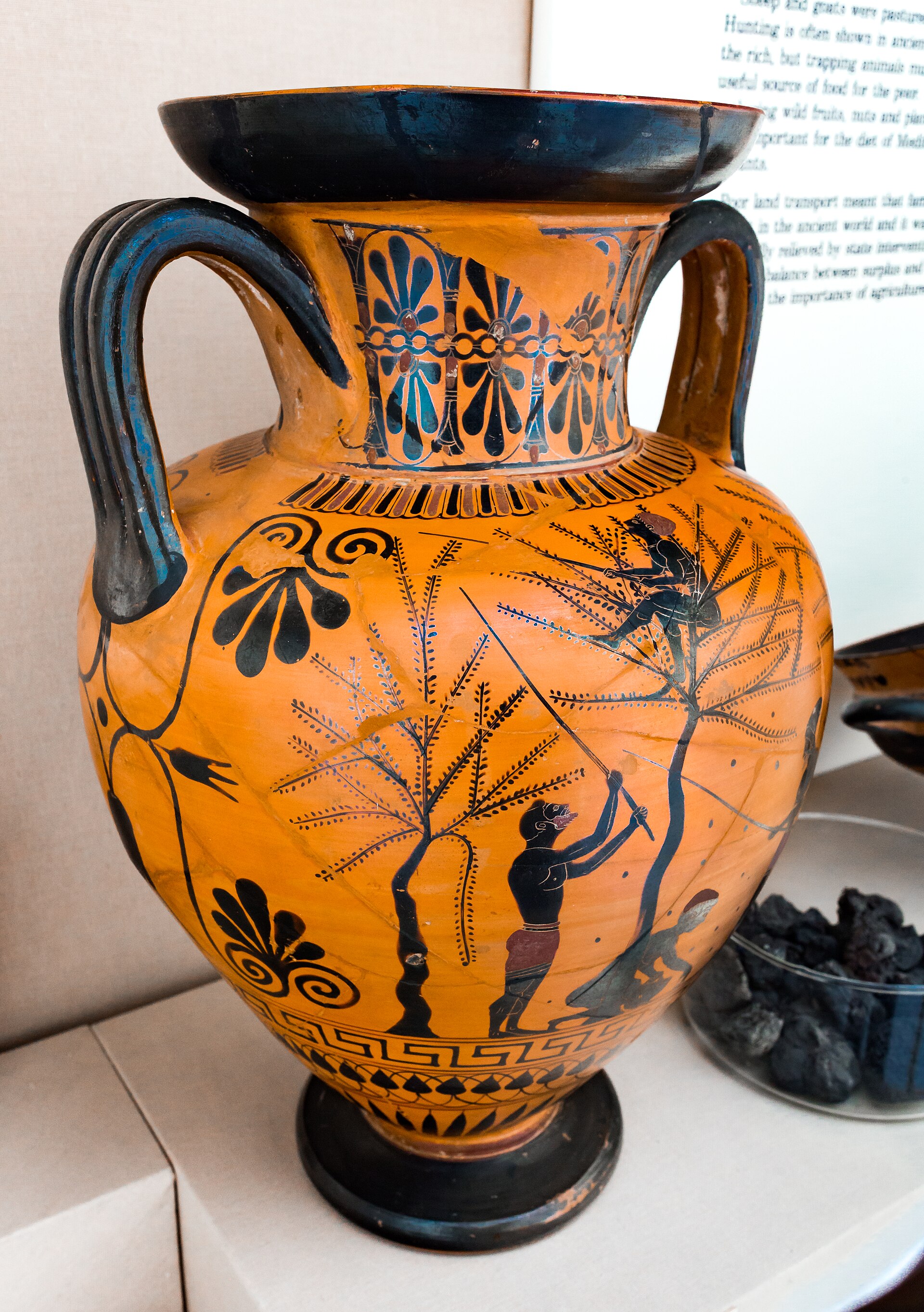 Unknown, Attic vase, olive harvest, c. 520 BCE