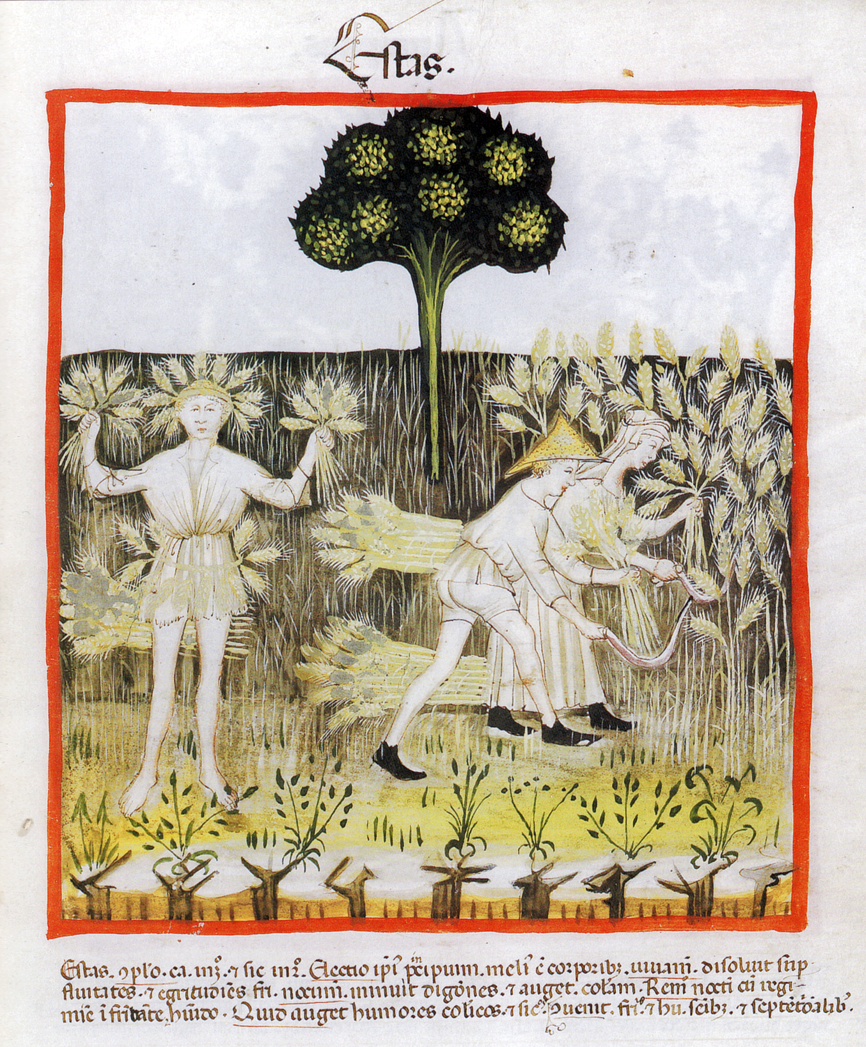 Unknown, Tacuinum Sanitatis (harvest, food and textile work), late 14th c.