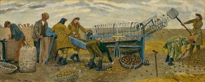 Evelyn Dunbar, Potato Sorting, Berwick, 1943